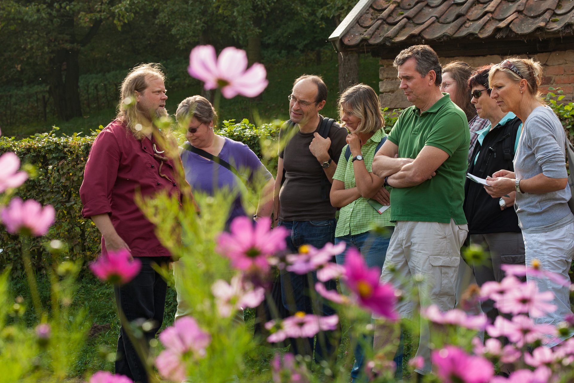 Wildkräuter- und Naturheilpflanzen-Führung mit dem Naturkoch Andreas Haner